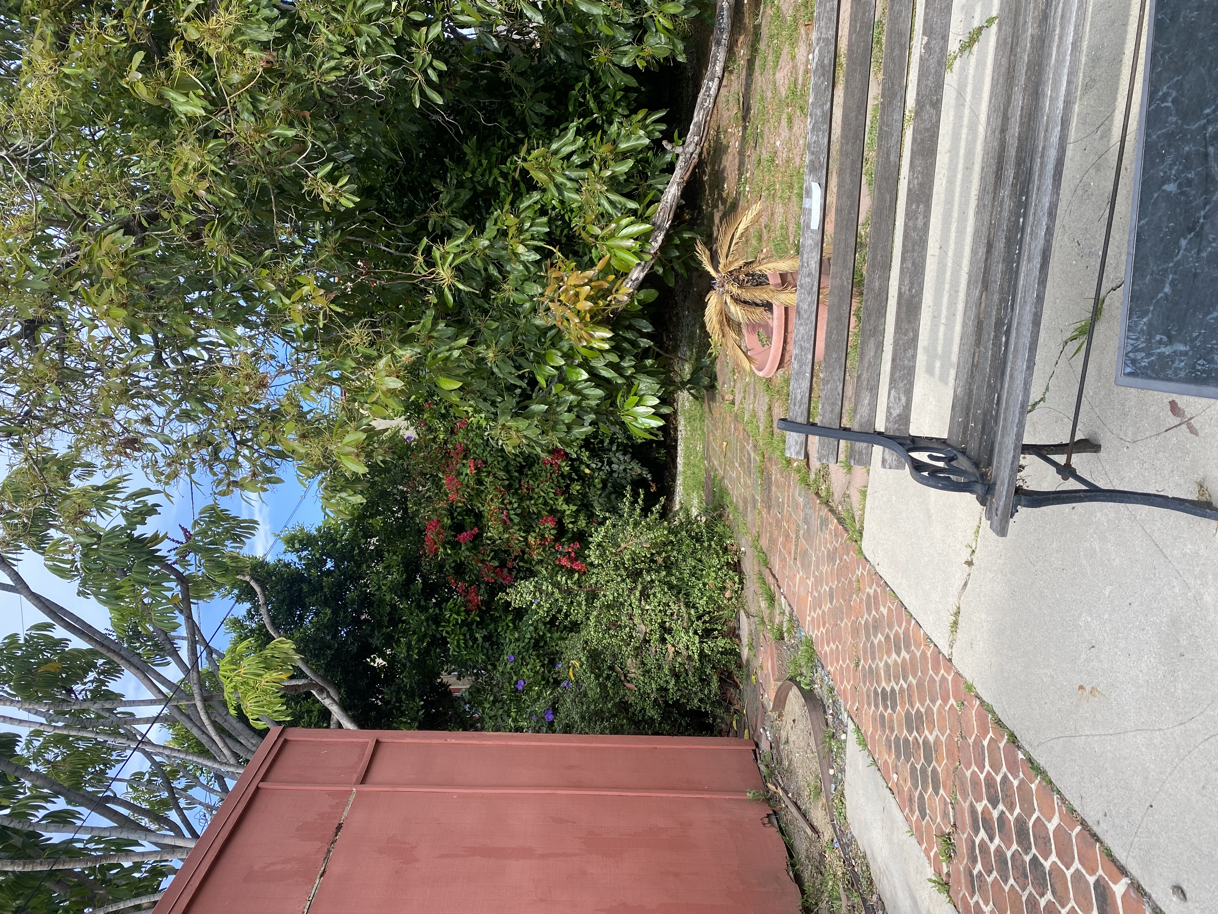 This lush backyard c