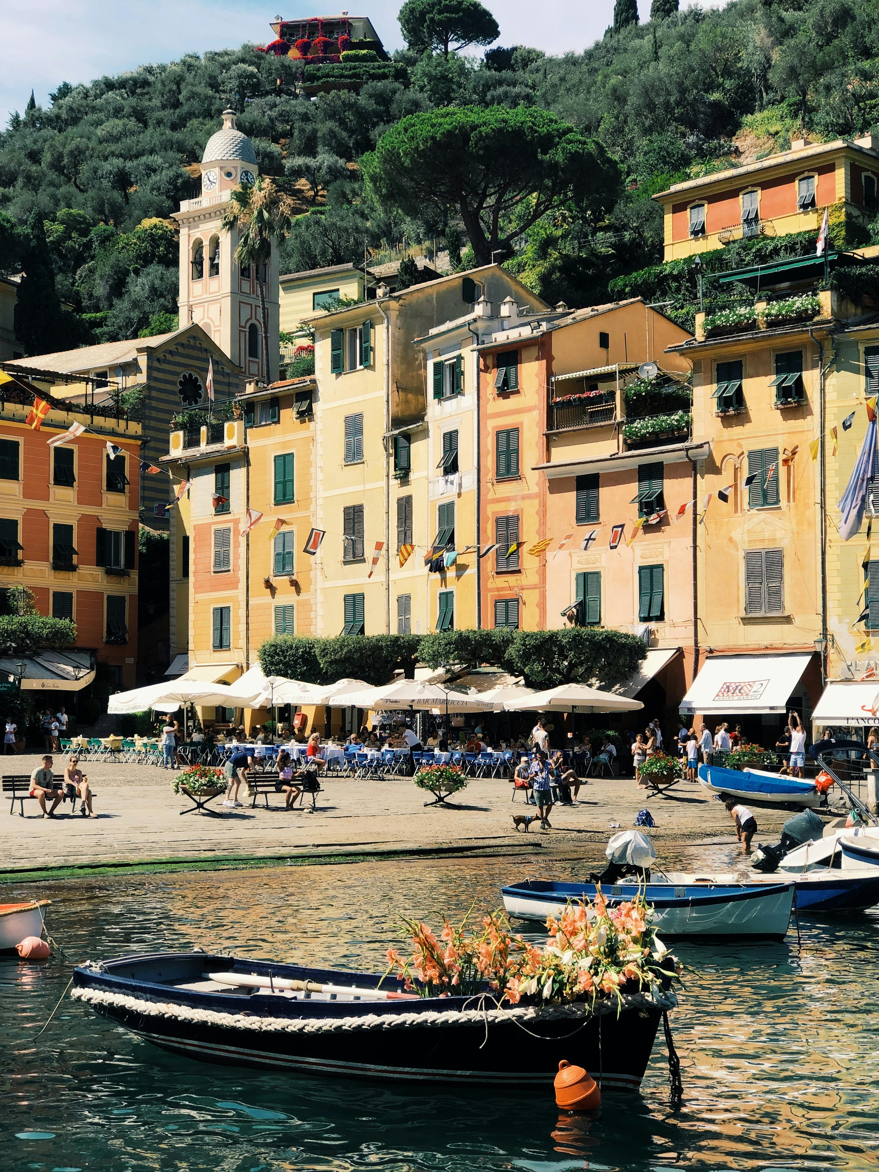 Holiday Dream: A fri