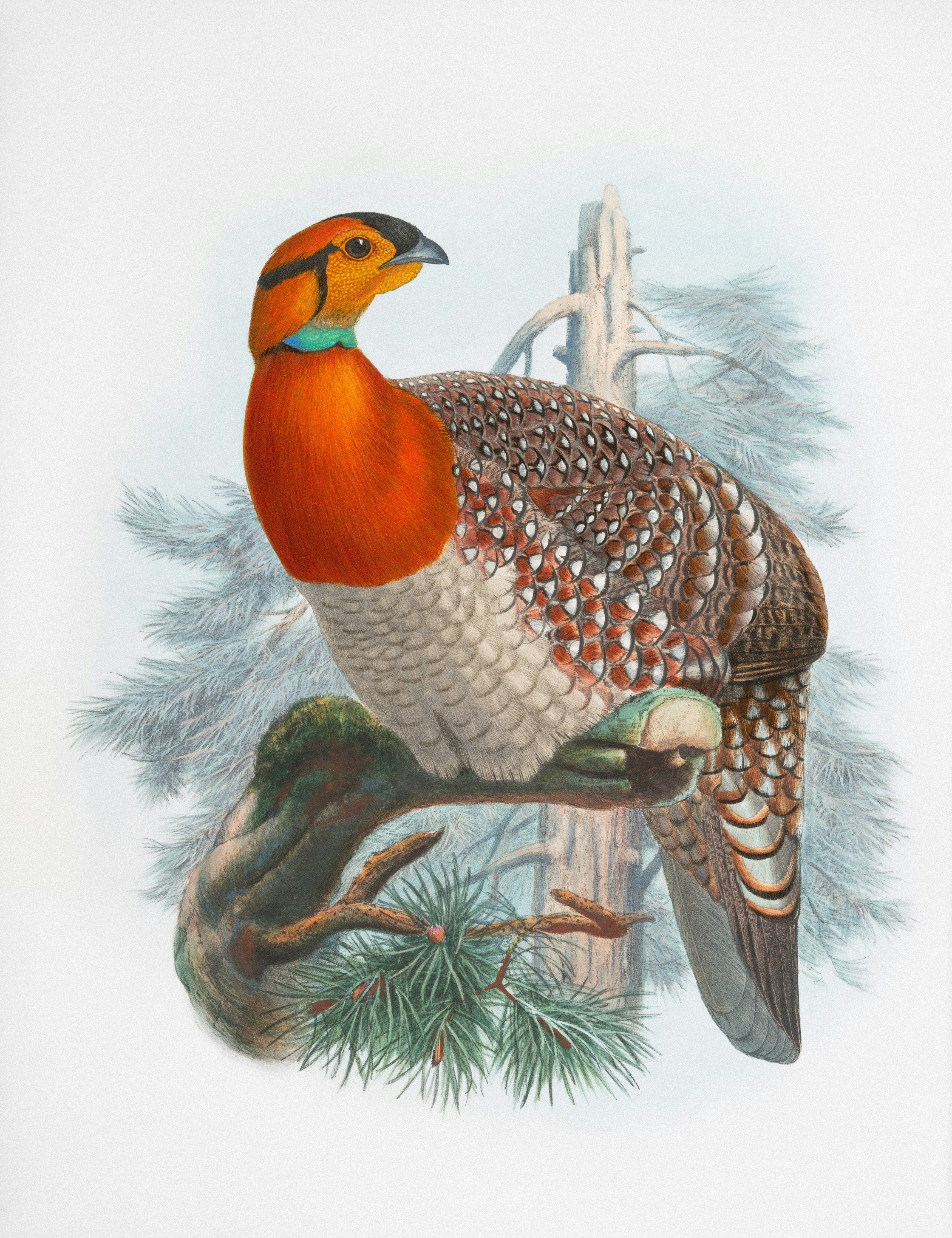 Last election let ma