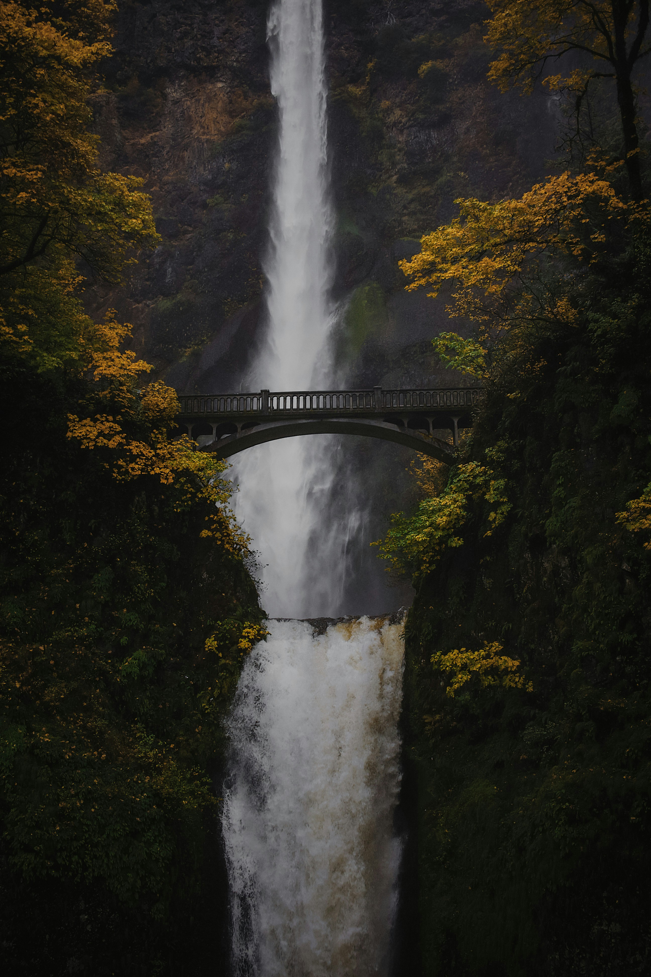 My friend said his i